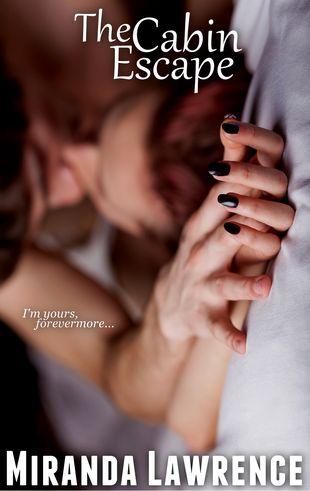 Reseña: Into the Sunset – Vivian Wood