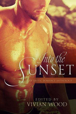 Reseña: Into the Sunset – Vivian Wood