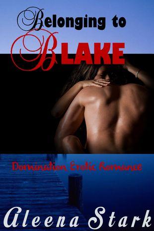 Reseña: Into the Sunset – Vivian Wood