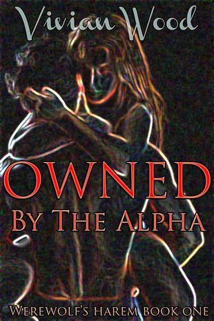 Reseña: Into the Sunset – Vivian Wood