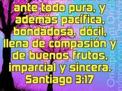 Compasión Demás