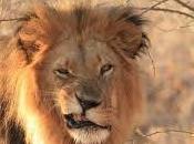 Miércoles palomitero beach. Parte