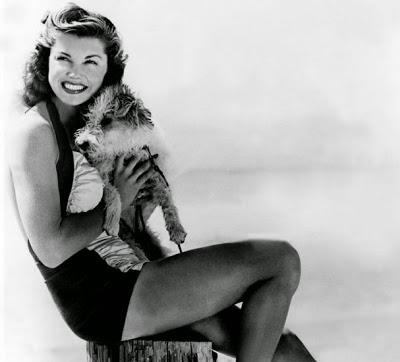 Miércoles palomitero on the beach. Parte I