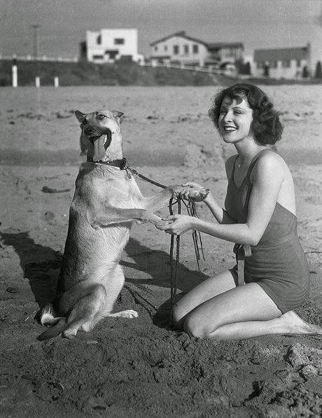 Miércoles palomitero on the beach. Parte I