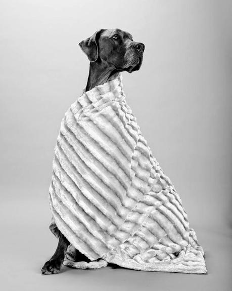 Y tú qué haces en San Viernes?