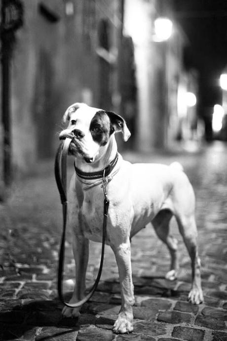 Y tú qué haces en San Viernes?