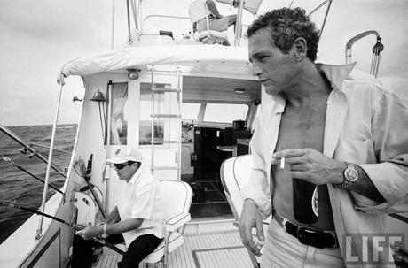 Miércoles palomitero y más