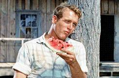 Miércoles palomitero y más