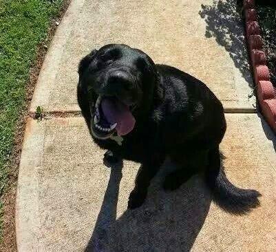 Monday, I´m choosing happines