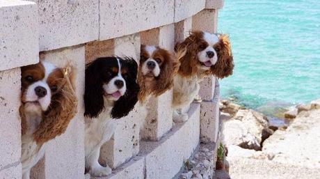 Monday, I´m choosing happines