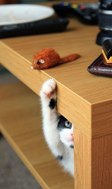 Monday, I´m choosing happines