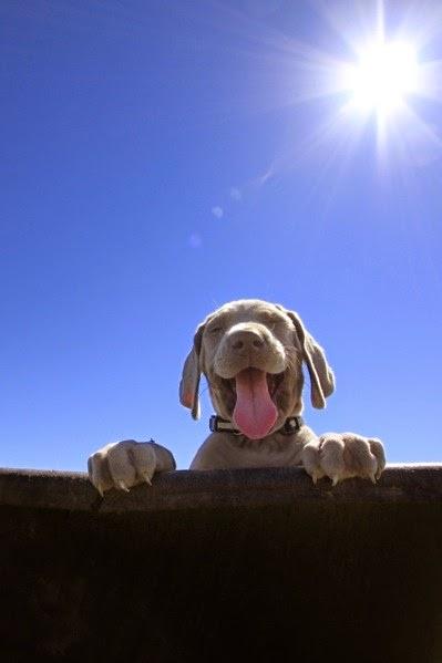San Viernes y los chakras famientos