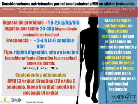 Consideraciones nutricionales para el mantenimiento de masa muscular en deportistas lesionados