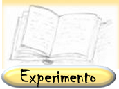 Experimento 2