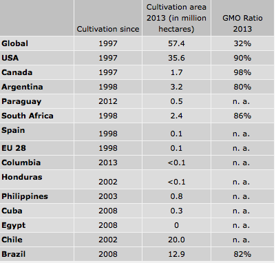 Productores maíz transgénico (Cortesía: gmo-compass.org)