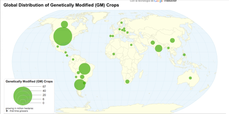 ¿Puede el maíz transgénico invadir América Latina? (parte I)