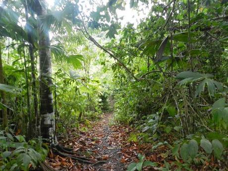 Península de Osa: Colofón de mi gran viaje en Costa Rica