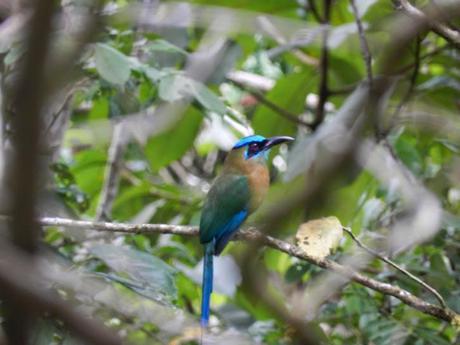 Península de Osa: Colofón de mi gran viaje en Costa Rica