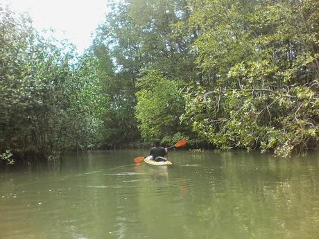 Península de Osa: Colofón de mi gran viaje en Costa Rica