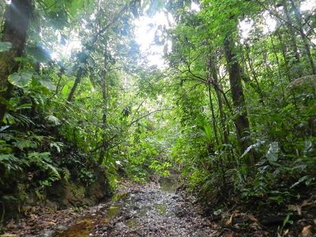 Península de Osa: Colofón de mi gran viaje en Costa Rica