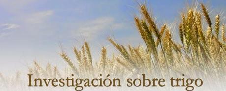 World Food Prize 2014 goes to Sanjaya Rajaram