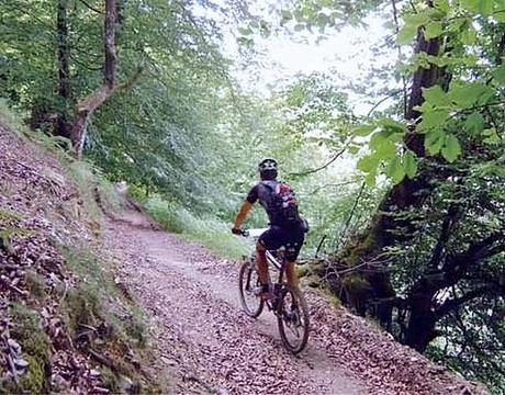 ¿Cómo mantener el rendimiento en rutas largas?