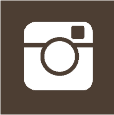 Tipos de plantillas para tu blog en WordPress Instagram