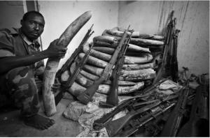 The Environmental Crime Crisis, NNUU & Interpol