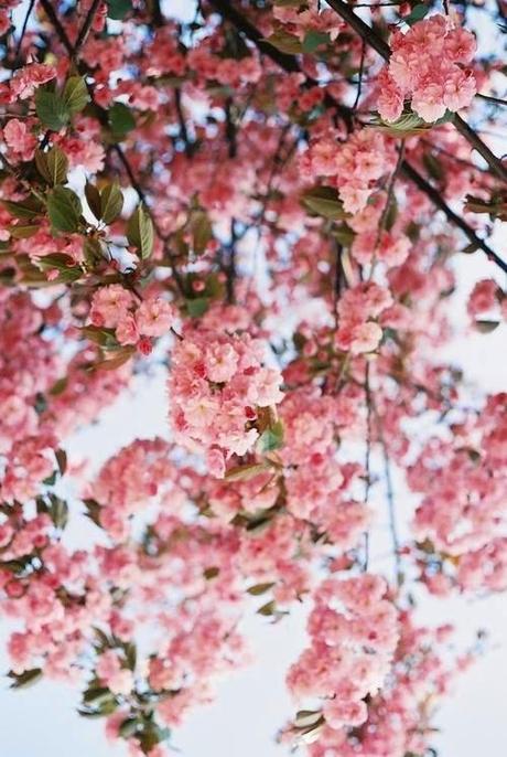 Primera quedada asturjatteña