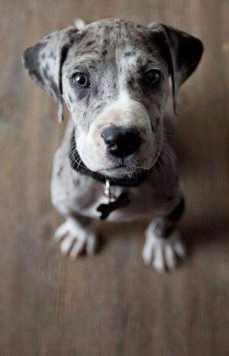 Primera quedada asturjatteña