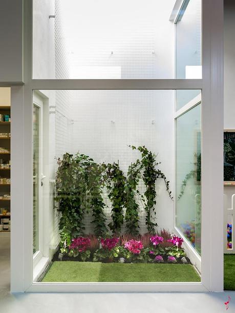 UNA FARMACIA CON UN EXTERIOR E INTERIOR SORPRENDENTES