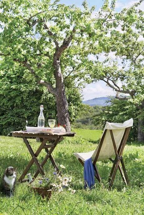 Area de Picnic en Estilo Rustico  /  Rustic Style Picnic Area