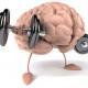 entrenamiento-cerebro