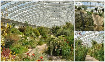 National Botanic Garden of Wales (y II)