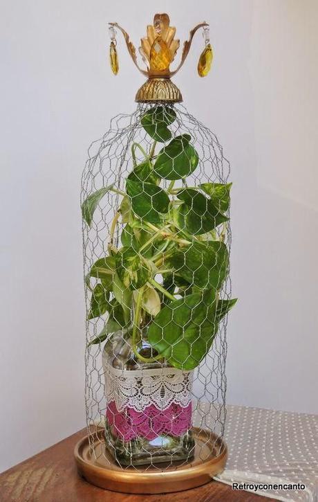 Finde frugal con campana de malla.