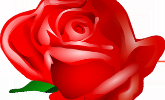 Tratamiento para la cistitis con vinagre