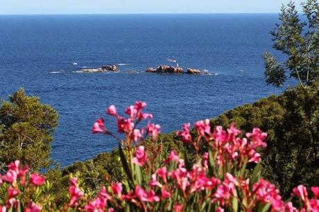 Festival de Cap Roig, Sorolla y otras historias de verano