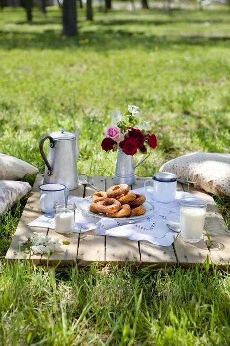 Un Picnic Encantador