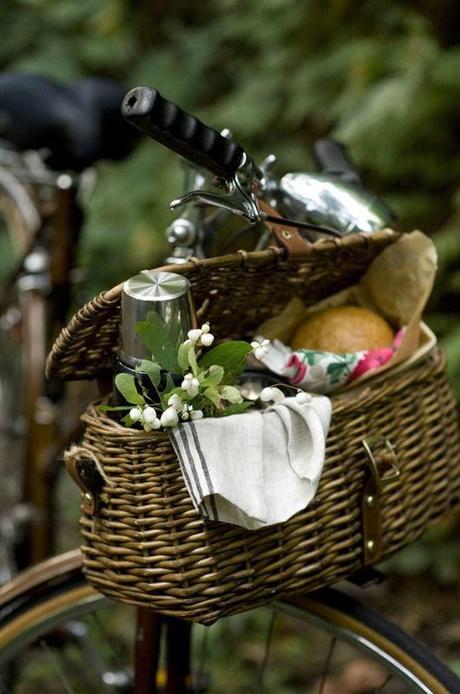 Un Picnic Encantador