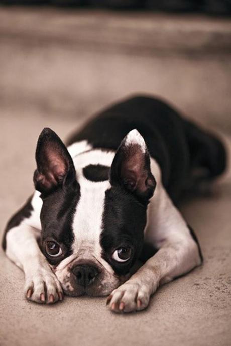 Liebster Award Liebster Award