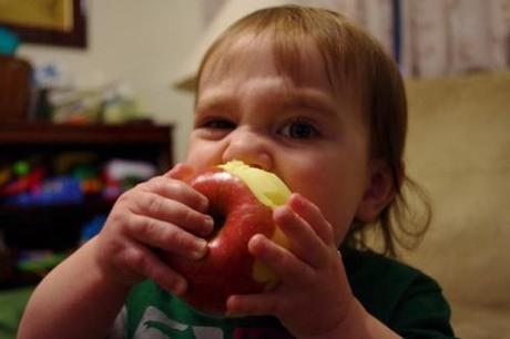 Alimentación infantil