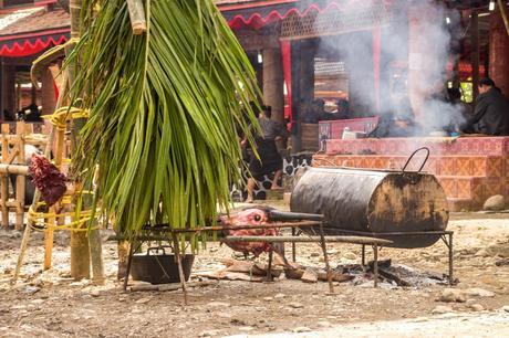 Uno de los búfalos sacrificados, funeral Tana Toraja