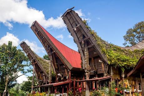 Tongkonan, casas Tana Toraja