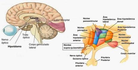 ¿Por qué estamos decaídos los días de lluvia?
