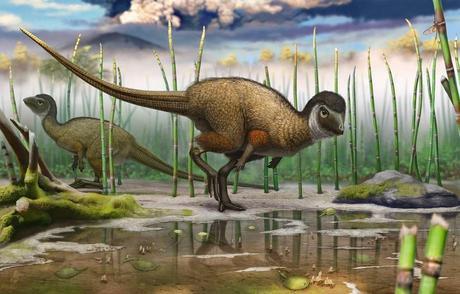 9 Dinoticias interesantes