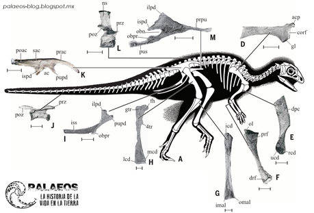 9 Dinoticias interesantes