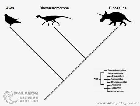9 Dinoticias interesantes