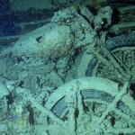 Mar Rojo Junio 2014 (Día 3) OLYMPUS DIGITAL CAMERA