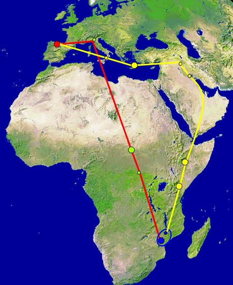 ALCAUDÓN DORSIRROJO (Lanius collurio)