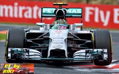 RESUMEN DE LA POLE POSITION DEL GP DE HUNGRIA 2014 - ROSBERG LOGRA LA PRIMERA CASILLA Y HAMILTON NO PASA A LA Q2